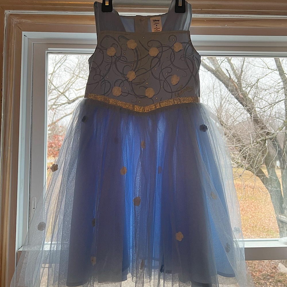Beautiful Disney Cinderella dress